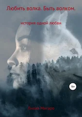 Лилия Мигаро - Любить волка. Быть волком. История одной любви