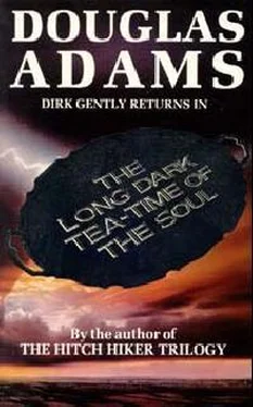 Douglas Adams The Long Dark Tea-Time Of The Soul обложка книги
