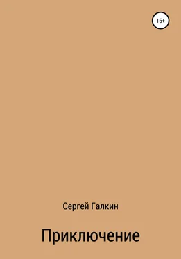 Сергей Галкин Приключение обложка книги