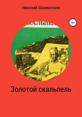 Николай Шахмагонов Золотой скальпель обложка книги