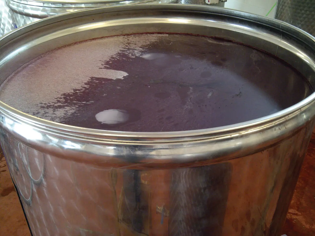 Figure 11 Film forming yeasts on wine surface Moulds Moulds are - фото 2