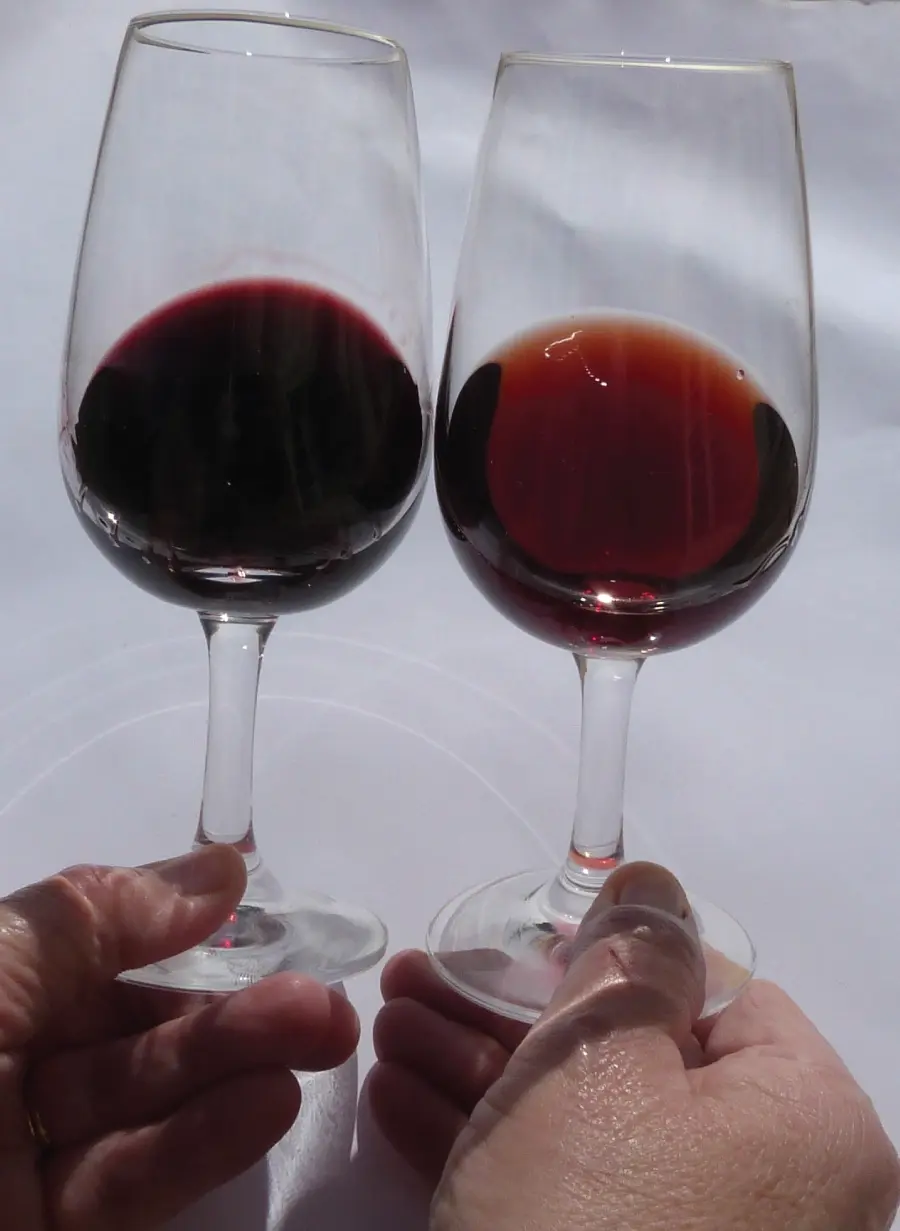 Figure 24 Vintage Port and Tawny Port A brown wine is tired oxidised and - фото 6