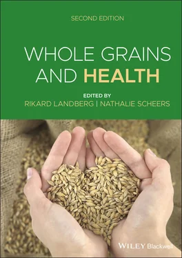 Неизвестный Автор Whole Grains and Health обложка книги