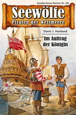 Davis J.Harbord Seewölfe - Piraten der Weltmeere 282 обложка книги