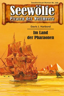 Davis J.Harbord Seewölfe - Piraten der Weltmeere 249 обложка книги