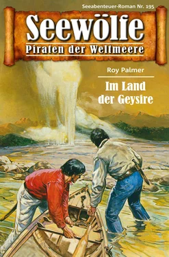 Roy Palmer Seewölfe - Piraten der Weltmeere 195 обложка книги