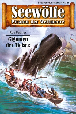 Roy Palmer Seewölfe - Piraten der Weltmeere 91 обложка книги