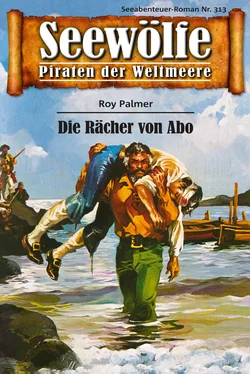 Roy Palmer Seewölfe - Piraten der Weltmeere 313 обложка книги