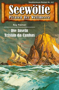 Roy Palmer Seewölfe - Piraten der Weltmeere 217 обложка книги