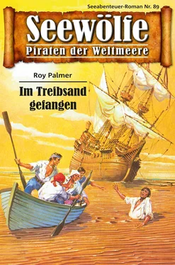 Roy Palmer Seewölfe - Piraten der Weltmeere 89 обложка книги