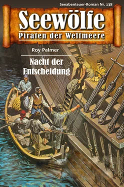 Roy Palmer Seewölfe - Piraten der Weltmeere 138 обложка книги