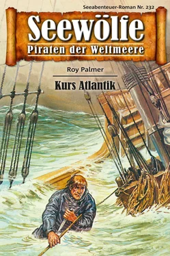 Roy Palmer Seewölfe - Piraten der Weltmeere 232 обложка книги