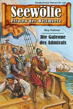 Roy Palmer Seewölfe - Piraten der Weltmeere 139 обложка книги
