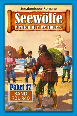 Roy Palmer Seewölfe Paket 17 обложка книги