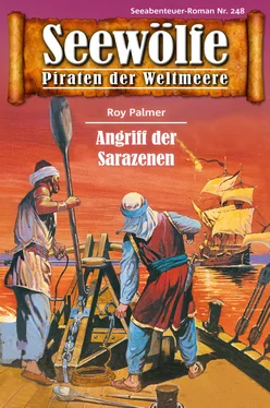 Roy Palmer Seewölfe - Piraten der Weltmeere 248 обложка книги