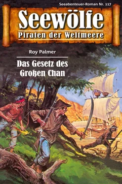 Roy Palmer Seewölfe - Piraten der Weltmeere 117 обложка книги