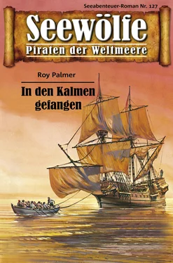 Roy Palmer Seewölfe - Piraten der Weltmeere 127 обложка книги