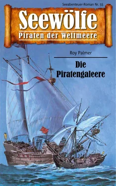 Roy Palmer Seewölfe - Piraten der Weltmeere 55 обложка книги