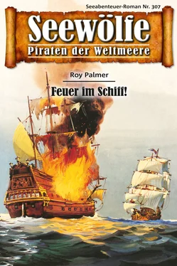 Roy Palmer Seewölfe - Piraten der Weltmeere 307 обложка книги