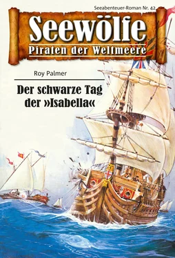 Roy Palmer Seewölfe - Piraten der Weltmeere 42 обложка книги