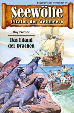 Roy Palmer Seewölfe - Piraten der Weltmeere 99 обложка книги