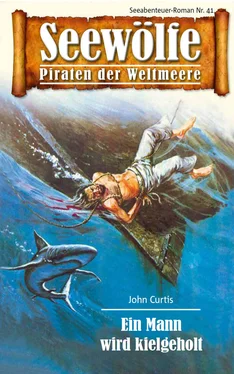 John Curtis Seewölfe - Piraten der Weltmeere 41 обложка книги