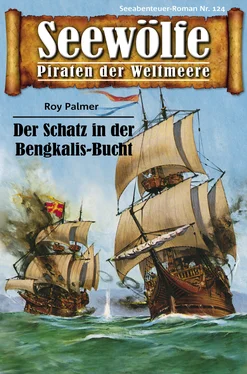 Roy Palmer Seewölfe - Piraten der Weltmeere 124 обложка книги