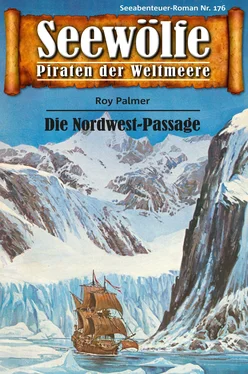 Roy Palmer Seewölfe - Piraten der Weltmeere 176 обложка книги