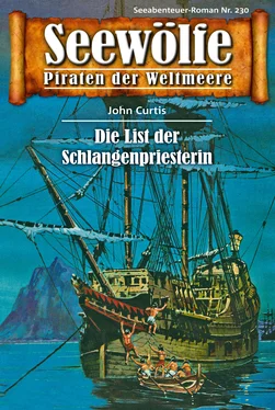 John Curtis Seewölfe - Piraten der Weltmeere 230 обложка книги