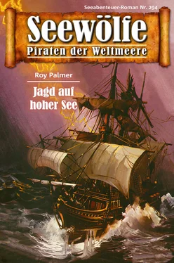 Roy Palmer Seewölfe - Piraten der Weltmeere 294 обложка книги