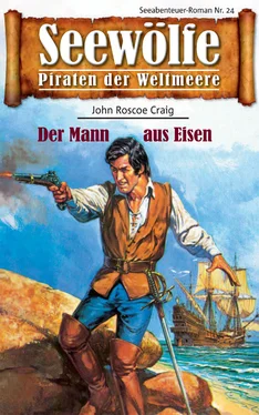 John Roscoe Craig Seewölfe - Piraten der Weltmeere 24 обложка книги