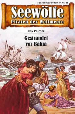 Roy Palmer Seewölfe - Piraten der Weltmeere 88 обложка книги
