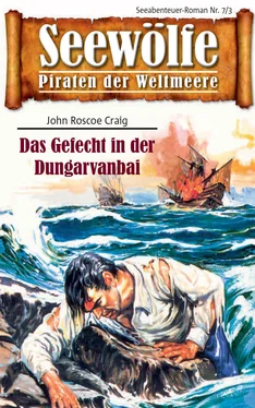 John Roscoe Craig Seewölfe - Piraten der Weltmeere 7/III обложка книги
