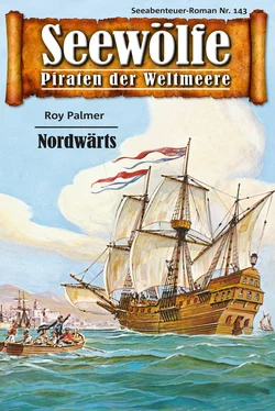 Roy Palmer Seewölfe - Piraten der Weltmeere 143 обложка книги