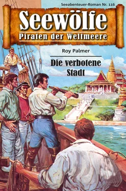 Roy Palmer Seewölfe - Piraten der Weltmeere 116 обложка книги
