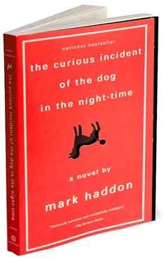 Mark Haddon The Curious Incident of the Dog in the Night-Time обложка книги