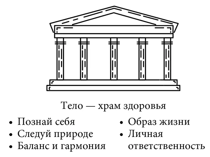Разумность здоровья Разум это ключевой аспект достижения здоровья для его - фото 4