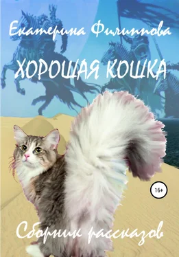 Екатерина Филиппова Хорошая кошка обложка книги