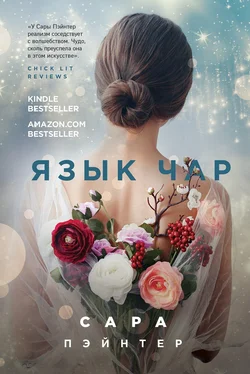 Сара Пэйнтер Язык чар обложка книги