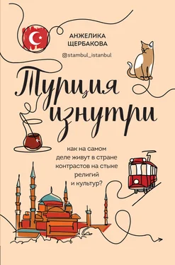 Анжелика Щербакова Турция изнутри. Как на самом деле живут в стране контрастов на стыке религий и культур? обложка книги