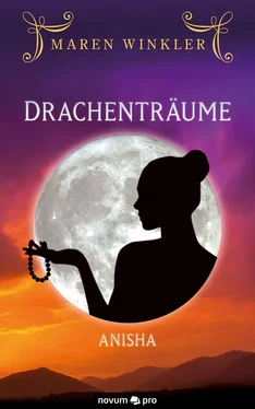 Maren Winkler Drachenträume обложка книги