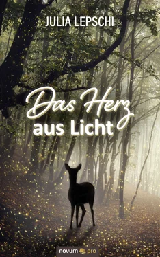 Julia Lepschi Das Herz aus Licht обложка книги