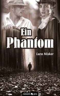 Lara Nisker Ein Phantom обложка книги