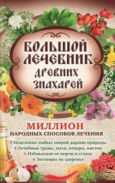 Лариса Кузьмина Большой лечебник древних знахарей. Миллион народных способов лечения обложка книги