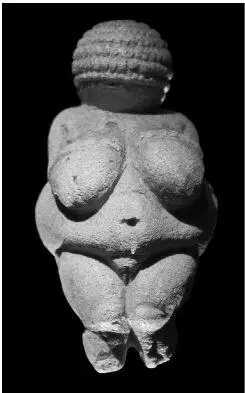 Виллендорфская мать рода Австрия Возраст около 30 тыс лет Мать рода из - фото 2