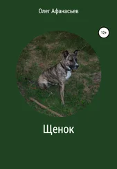 Олег Афанасьев - Щенок