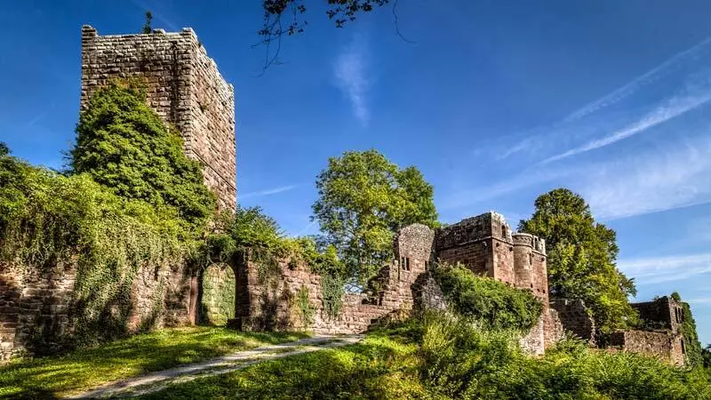 Burg Wildenberg Bayerischer Odenwald 1St Kilian Distillers Whisky made in - фото 25