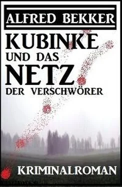 Alfred Bekker Kubinke und das Netz der Verschwörer: Kriminalroman обложка книги