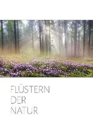 Lewis Thomas - Flüstern der Natur