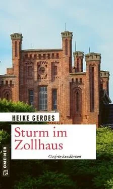 Heike Gerdes Sturm im Zollhaus обложка книги